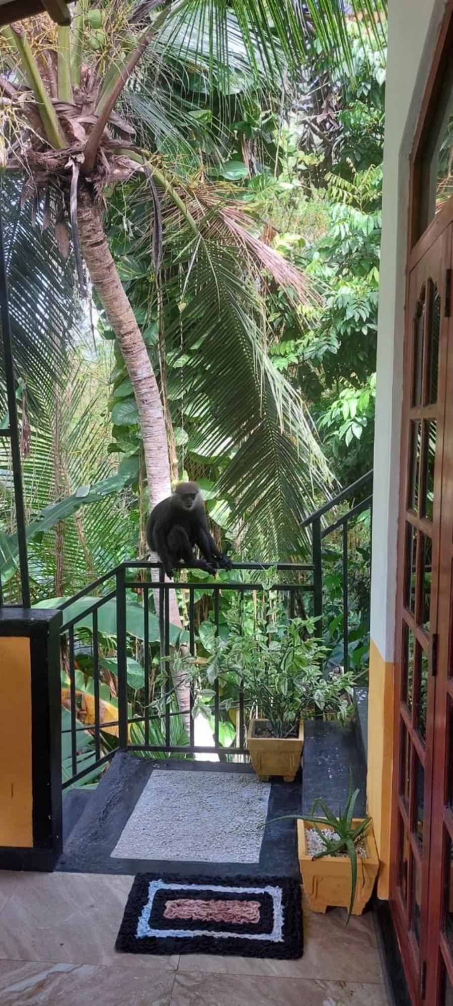Freedom House Villa Unawatuna Luaran gambar